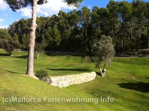 Bildergalerie Golfplatz Andratx-Camp de Mar Bildergalerie Golfplatz Andratx-Camp de Mar