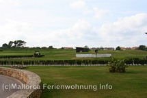 Bildergalerie Golfplatz Maioris