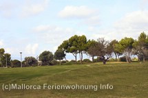 Bildergalerie Golfplatz Maioris