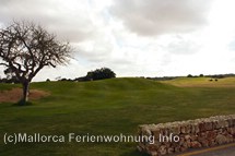 Bildergalerie Golfplatz Maioris