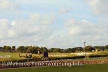 Bildergalerie Golfplatz Maioris