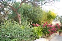 Bildergalerie Golf Pula Bildergalerie Golf Pula