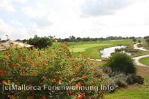 Bildergalerie Golfplatz Son Gual