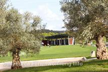 Bildergalerie Golfplatz Son Gual