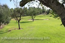 Bildergalerie Golf Muntaner Bildergalerie Golf Muntaner