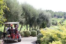Bildergalerie Golf Muntaner Bildergalerie Golf Muntaner