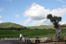 Bildergalerie Golfplatz Son Quint