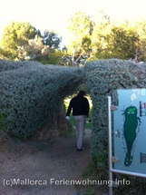 Bildergalerie Vall d'Or