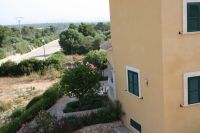 llimonera-ans-07-1024