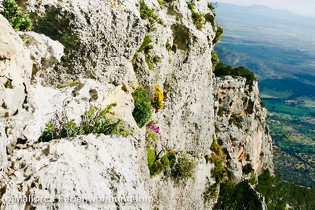 Castell de Alaro + Es Verger