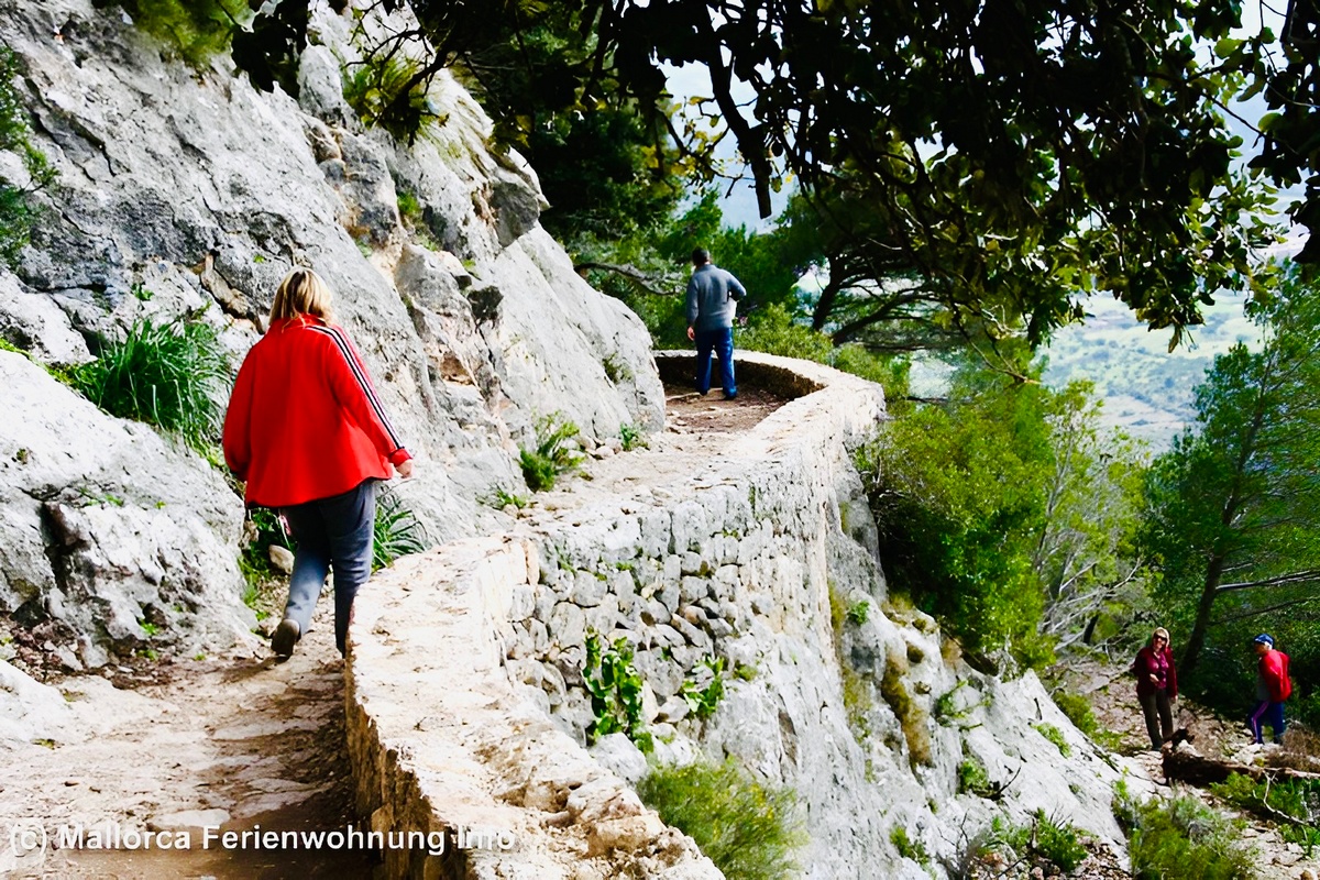 Castell de Alaro + Es Verger