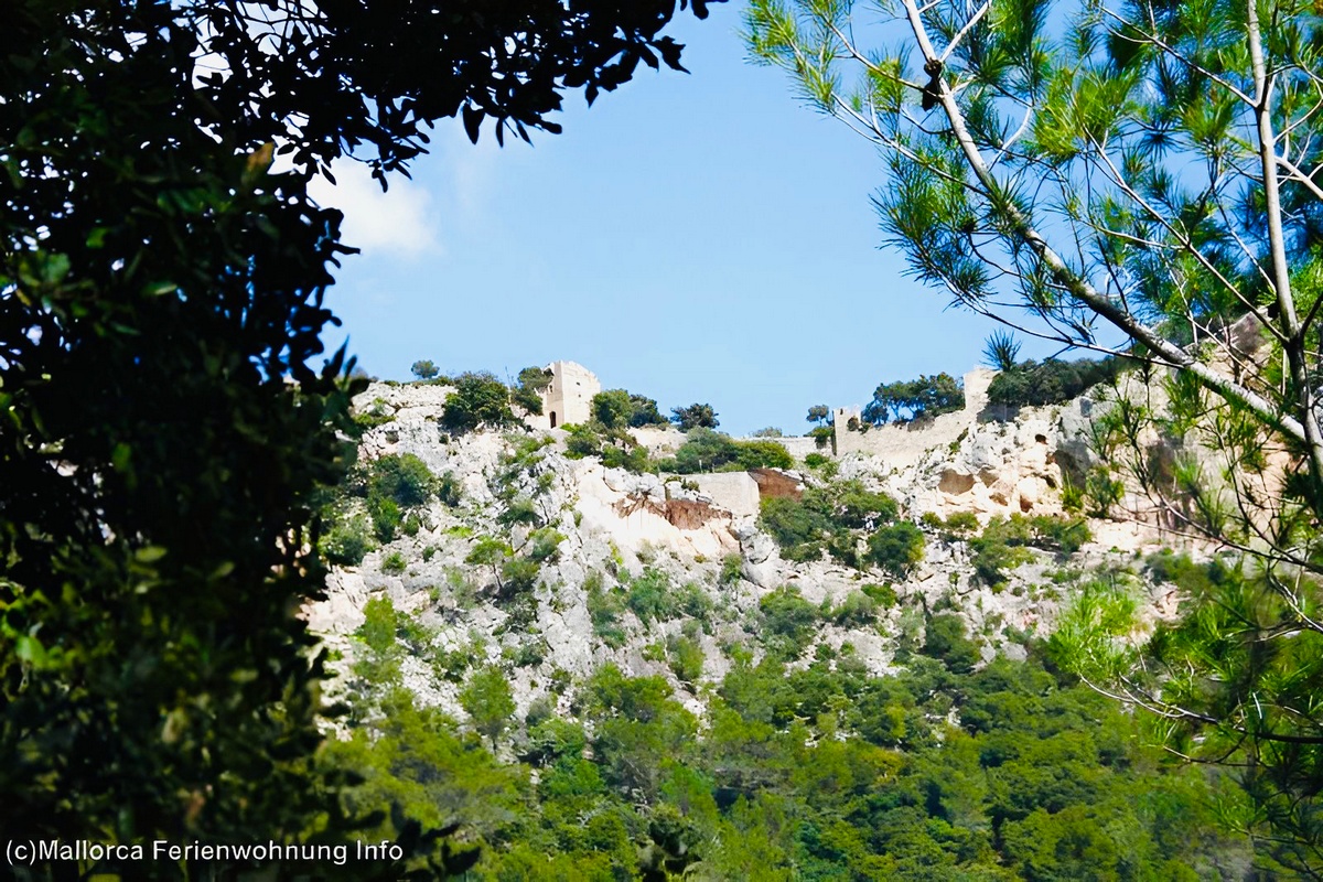 Castell de Alaro + Es Verger