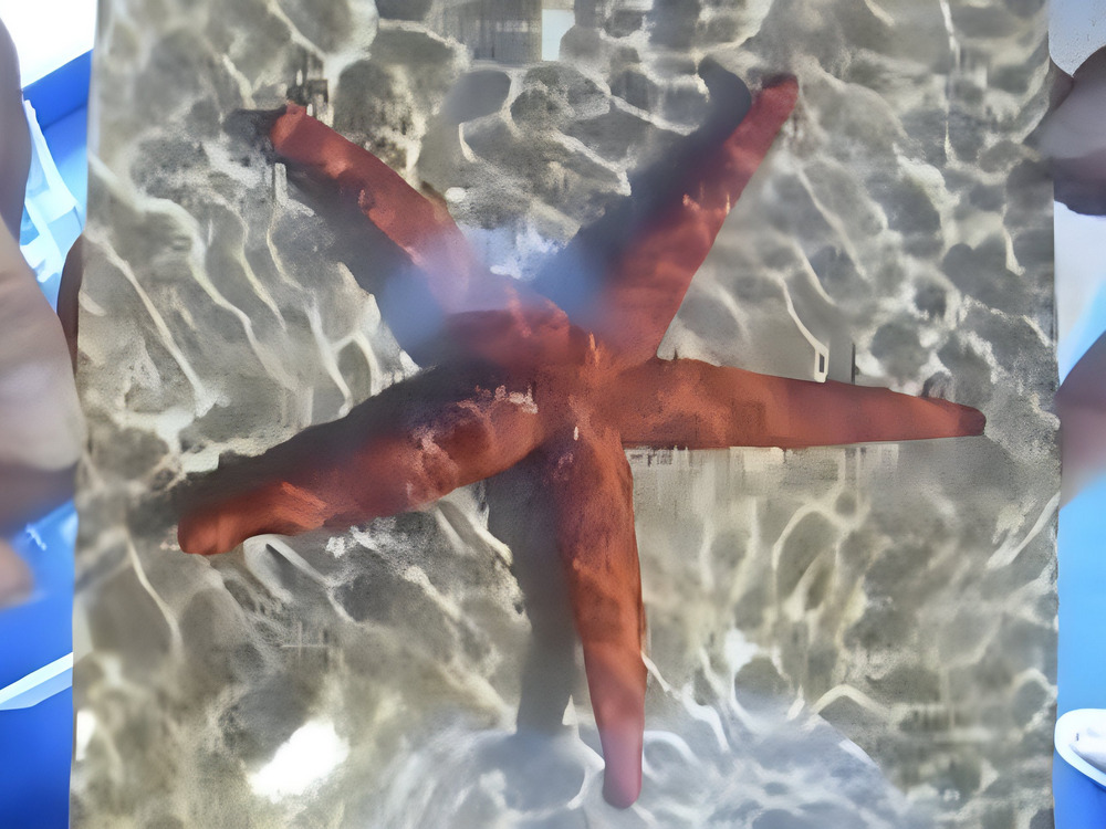 pa aquarium 04 1000