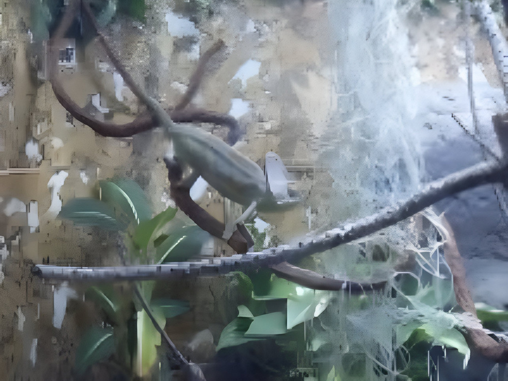 pa aquarium 05 1000