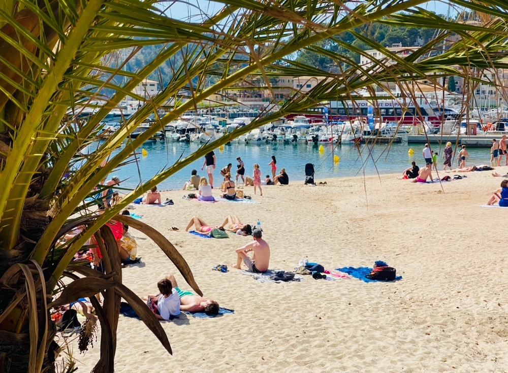 soller 006 1000