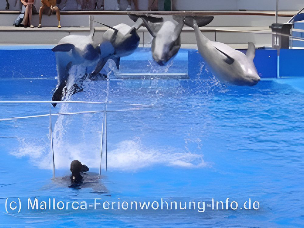 marineland 04