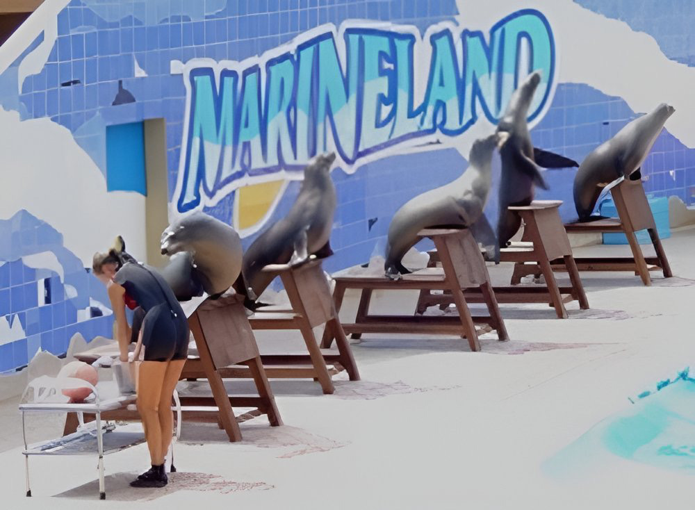 marineland 03 1000