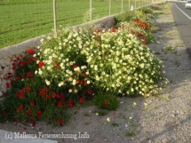 best equipped holiday home also for long-stay in the winter month